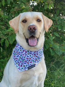 Cooling Bandana - Panthera Uncia