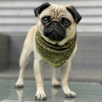 Load image into Gallery viewer, Cooling Bandana - Eunectes Murinus
