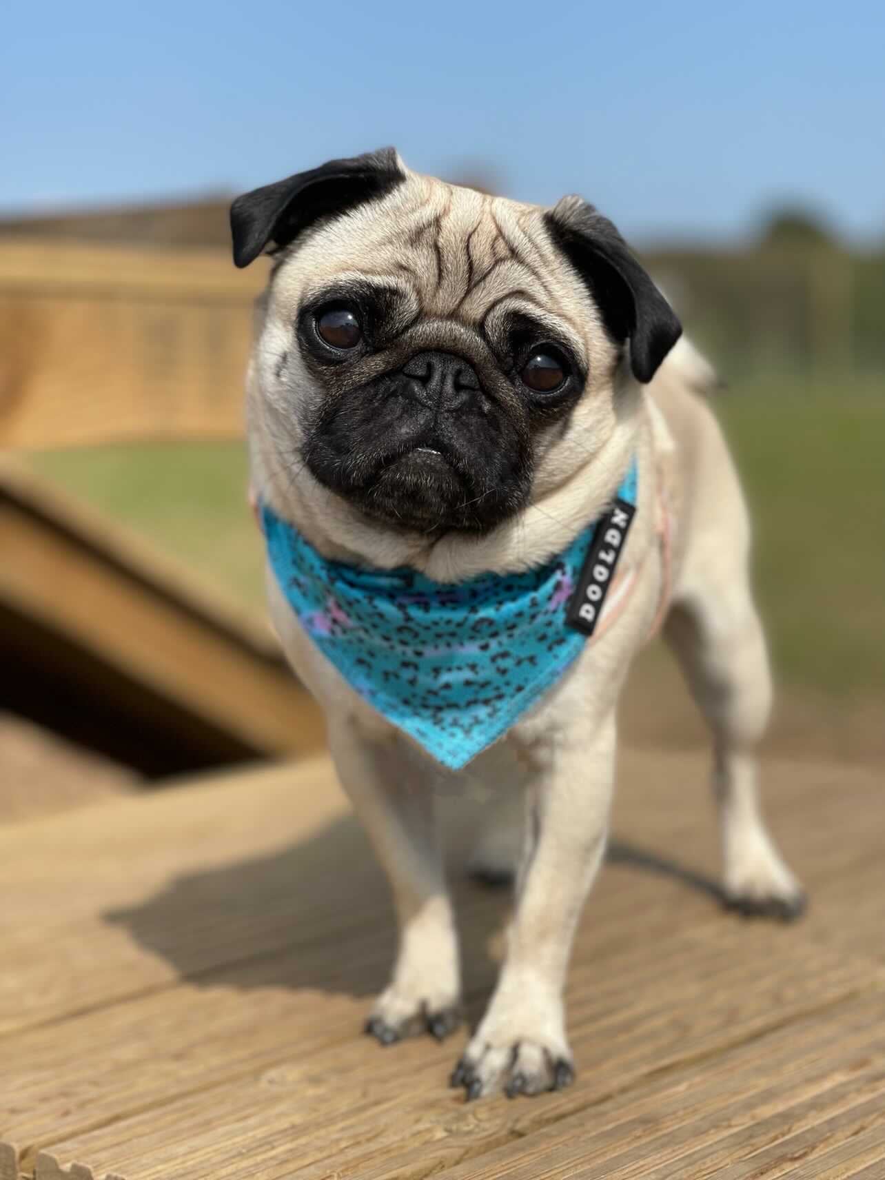 Cooling Bandana - Liberty