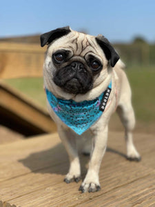 Cooling Bandana - Liberty