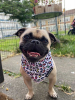 Load image into Gallery viewer, Cooling Bandana - Panthera Uncia
