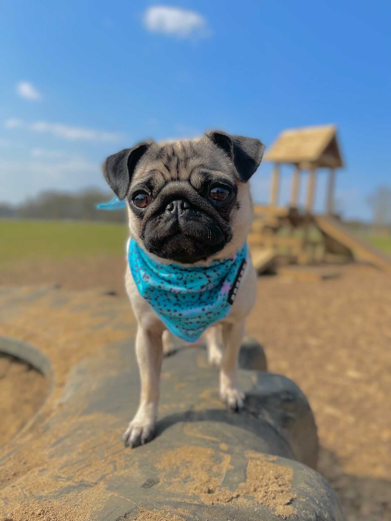 Cooling Bandana - Liberty