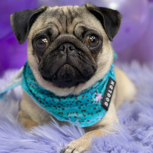 Cooling Bandana - Liberty