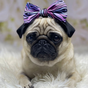 Shibori Tigris Collar & Bow
