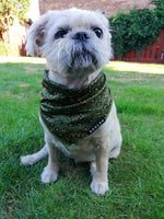 Load image into Gallery viewer, Cooling Bandana - Eunectes Murinus
